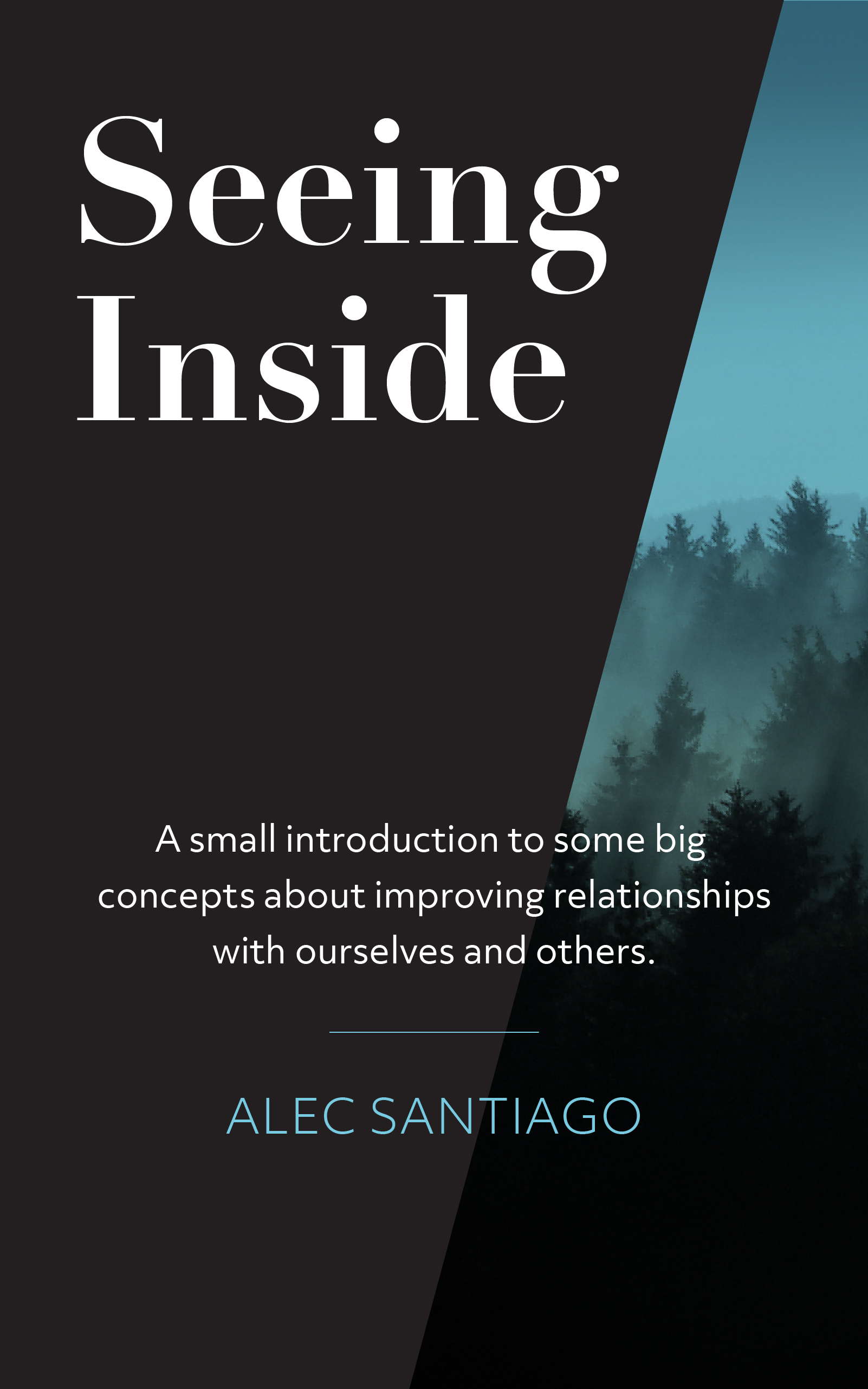 Seeing Inside cover